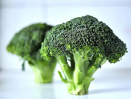 What is Broccoli Extract Powder Benefits?